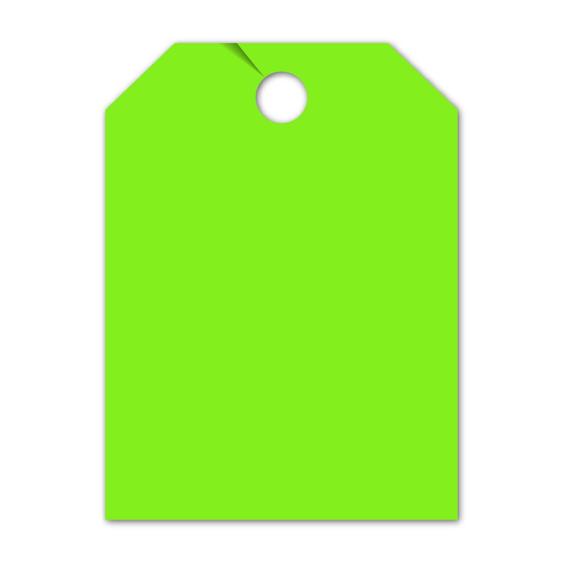 XCP DL-TAG-G CAR Products Blank Mirror Tag (Green, 50 pk)